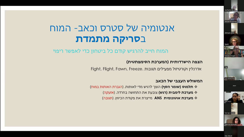 סטרס ומערכת העצבים